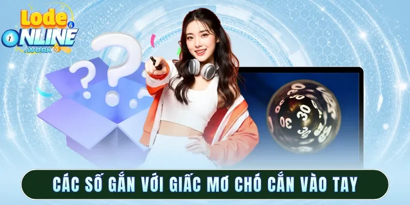 Các số gắn với giấc mơ chó cắn vào tay