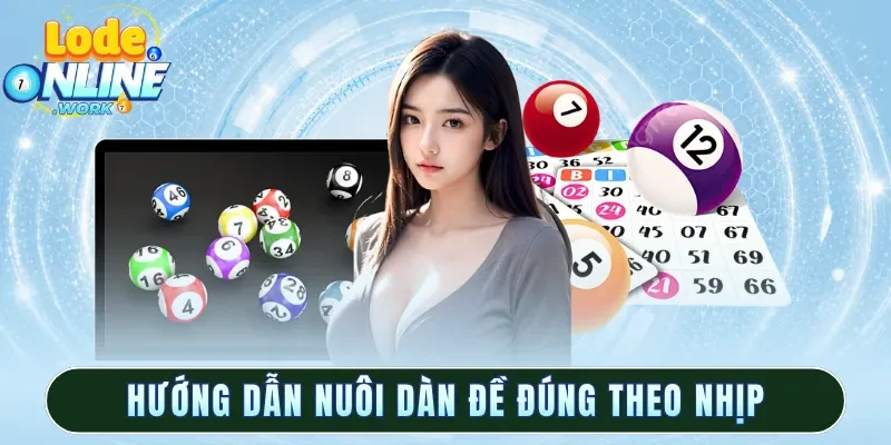 Hướng dẫn nuôi dàn đề đúng theo nhịp